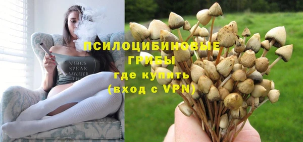 a pvp Галич