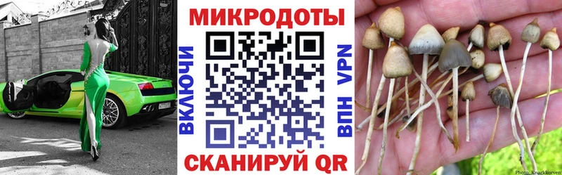 магазин    Спас-Клепики  Псилоцибиновые грибы мицелий 